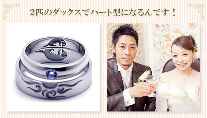 2匹のダックスでハート型になるんです!
